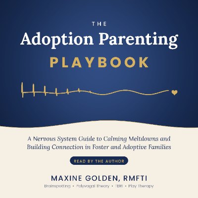 The Adoption Parenting Playbook audiobook, read by the author